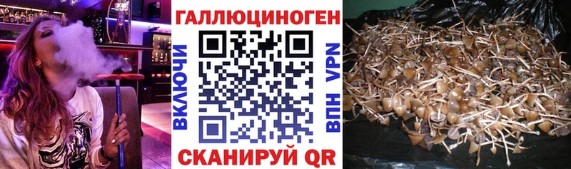 Купить закладки  Маркс  Псилоцибиновые грибы MAGIC MUSHROOMS 